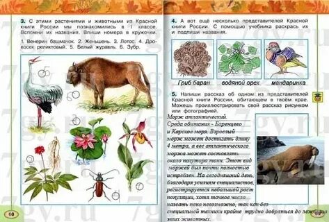 Окр рассказы