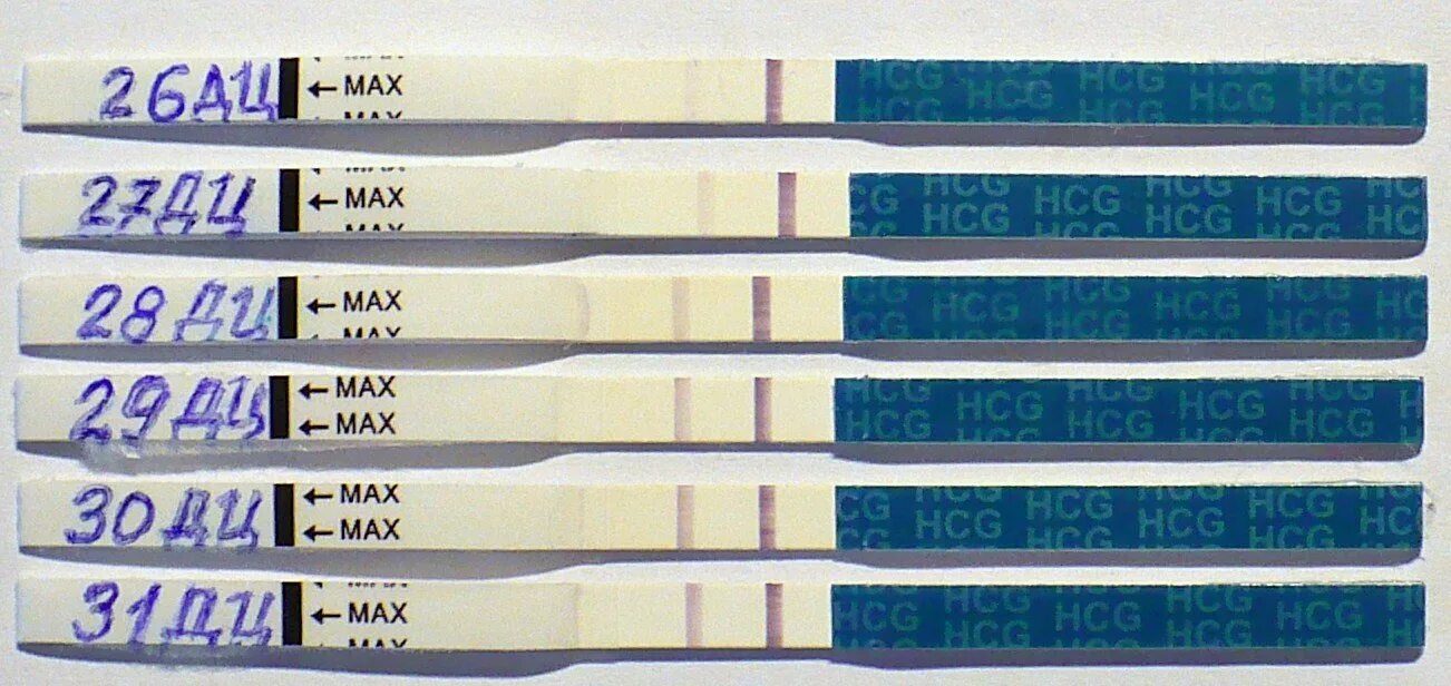 Вторая беременность тест до задержки. Слабая 2 полоска на тесте на беременность до задержки. Тест на беременность 1 и на 2 день задержки. Бледная полоска на тесте на беременность 1 день задержки. Тест 2 полоски Evitest.