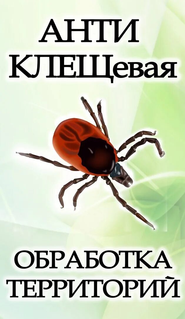 Гвоздика от клещей. Акарицидная обработка территории от клещей. Территория обработана от клеща. Объявление акарицидная обработка от клещей. Обработка от клещей объявление.