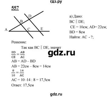 Геометрия 557