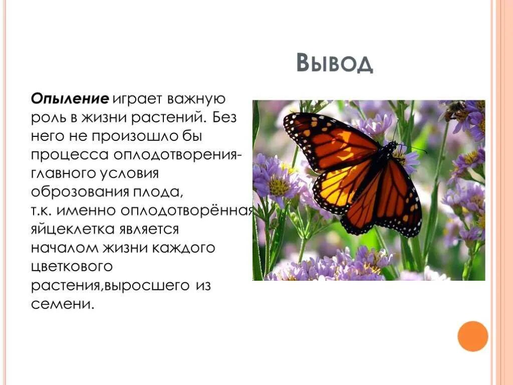 Надо ли опылять. Опыления растений насекомыми биология 6 класс. Типы опыления. Сообщение о опыление растений. Опыление растений 6 класс.