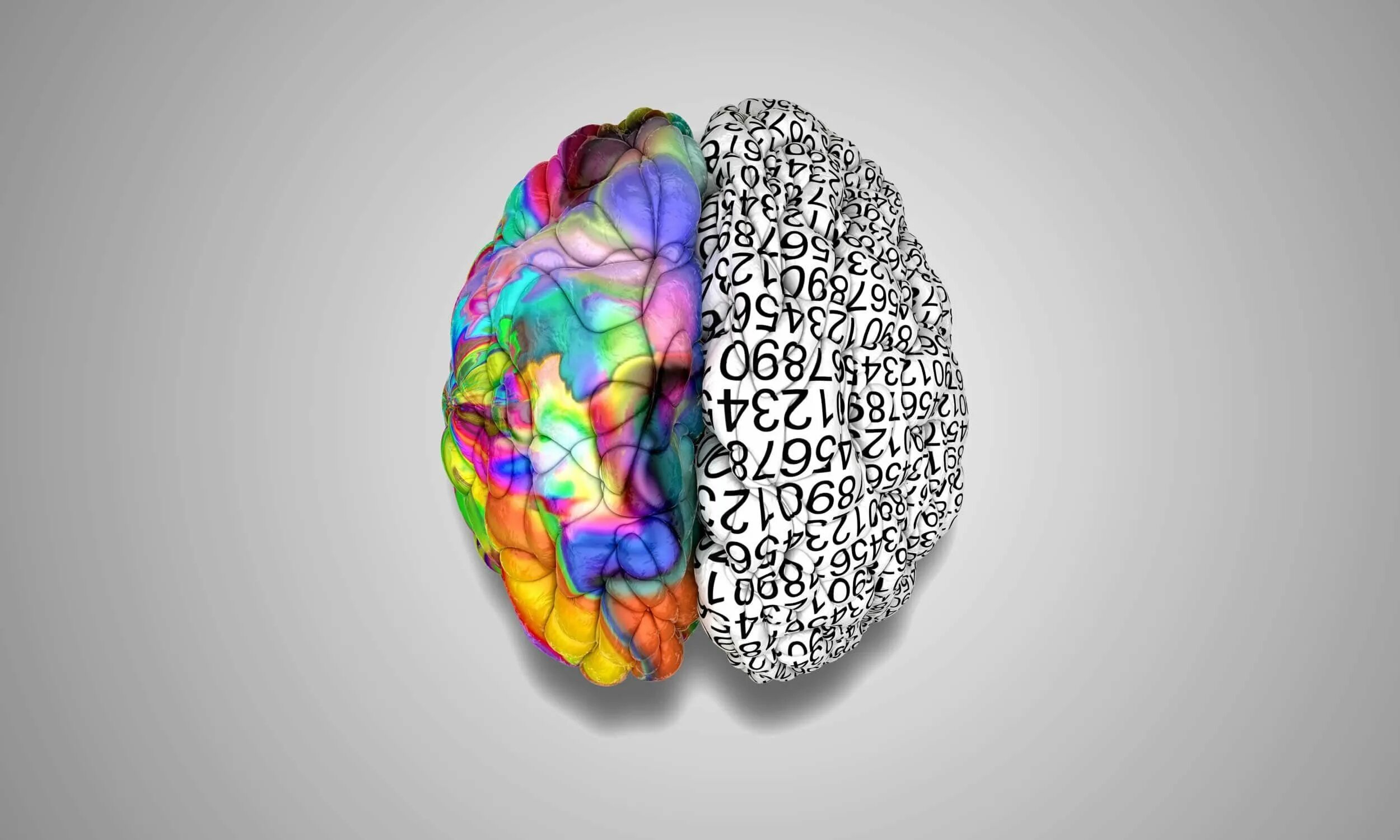 Фон с мозгами. Полушария мозга. Два полушария мозга. Левое и правое полушарие. Правое полушарие мозга.