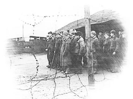 Лагерная