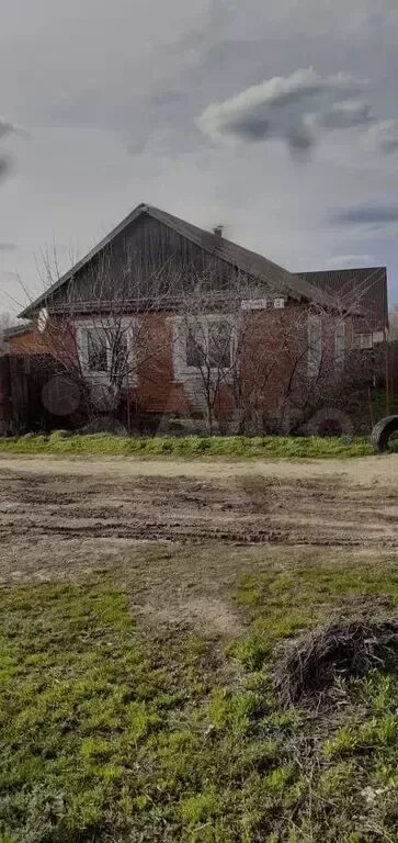 Саратовская область советский район новокривовка. Село Новокривовка Саратовская область. Село Новокривовка Саратовская область улица Октябрьская 1. Новокривовка Саратовская область школа. Село Новокривовка Советский район Саратовская область.