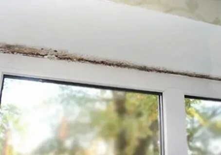Дует между окон пластиковых