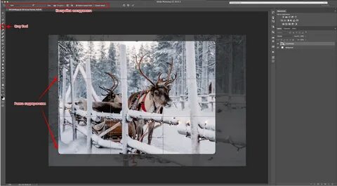 Вырезать без потери качества