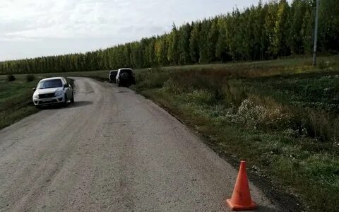 Гранты мордовия