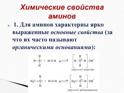 Свойства аминов кратко