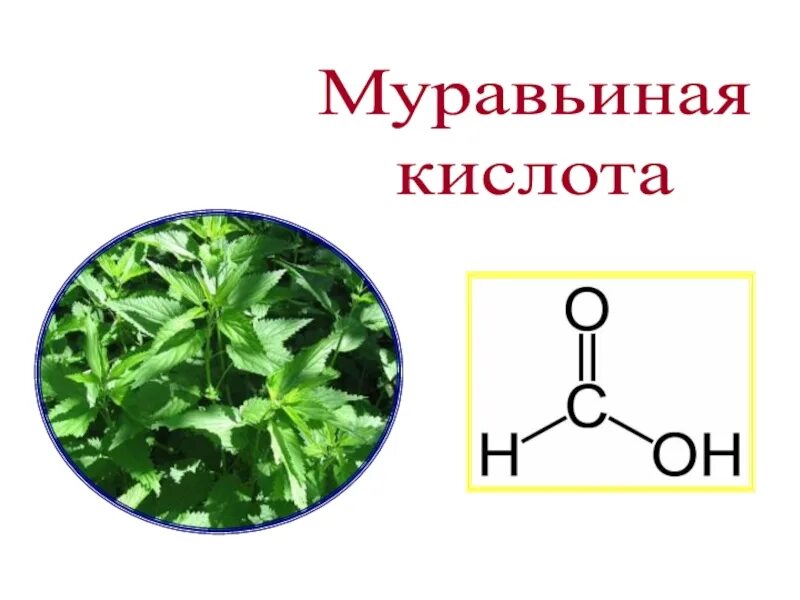 Муравьиная кислота формула sp2. Муравьиная кислота кислота формула. Муравьиная кислота формула развернутая. Муравьиная кислота презентация. Муравьиная кислота цена в аптеке