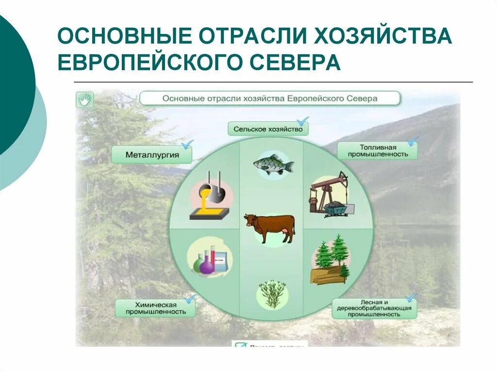 Какие экологические проблемы стоят перед европейским севером. Главные отрасли хозяйства европейского севера. Хозяйство района европейского севера. Отрасли сельского хозяйства европейского севера таблица. Отрасли сельского хозяйства европейского севера.