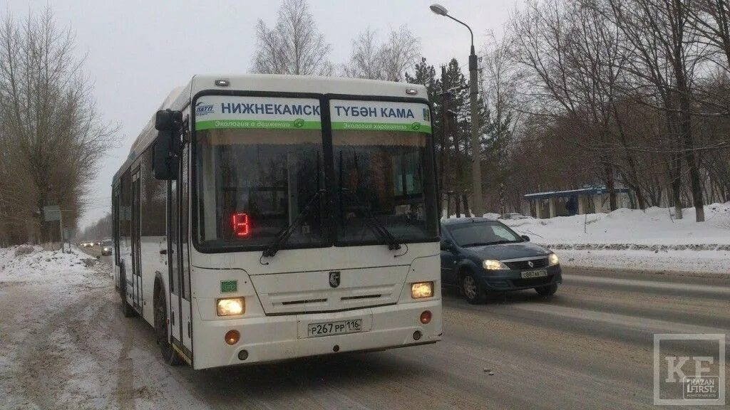 Нижнекамские автобусы. Автобусы Нижнекамск. Автобус 35 Нижнекамск. Автобус Альметьевск.