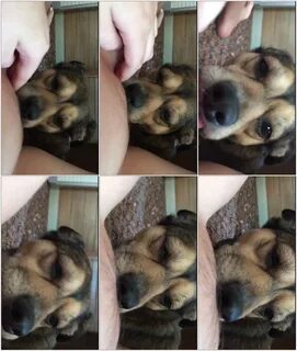 Publish. 👨 👉 🏻 👉 🏻 👉 🏻 MAN 👈 🏻... 