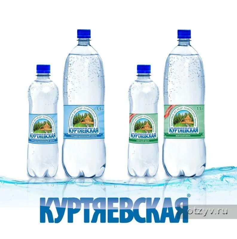 Заказ воды архангельск. Куртяевская минеральная вода. Куртяевская минеральная вода Архангельск. Куртяевская минеральная вода Архангельск источник. Куртяевская минеральная вода состав.