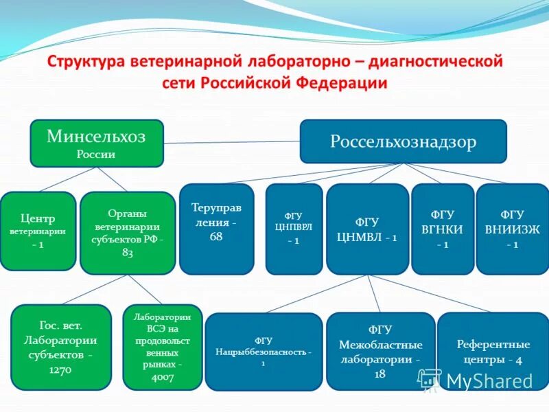 Сеть федеральных государственных учреждений. Сеть федеральных государственных учреждений