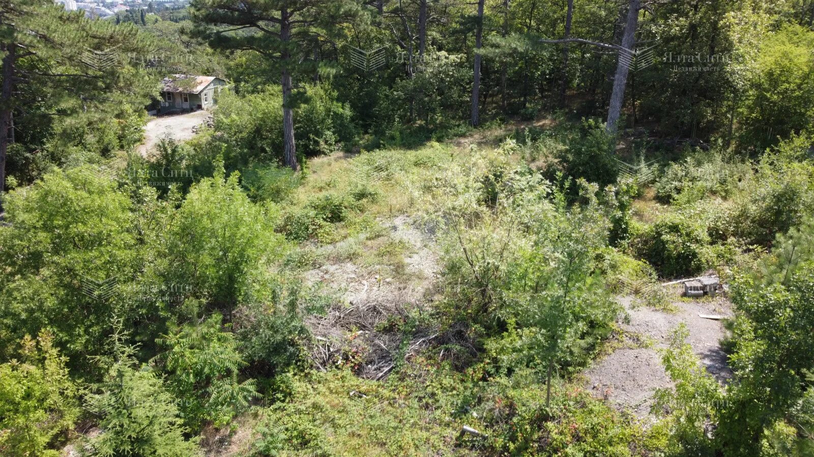 ижс. солнечногорск снт 46км. лаптево. 70 соток. 70 соток.