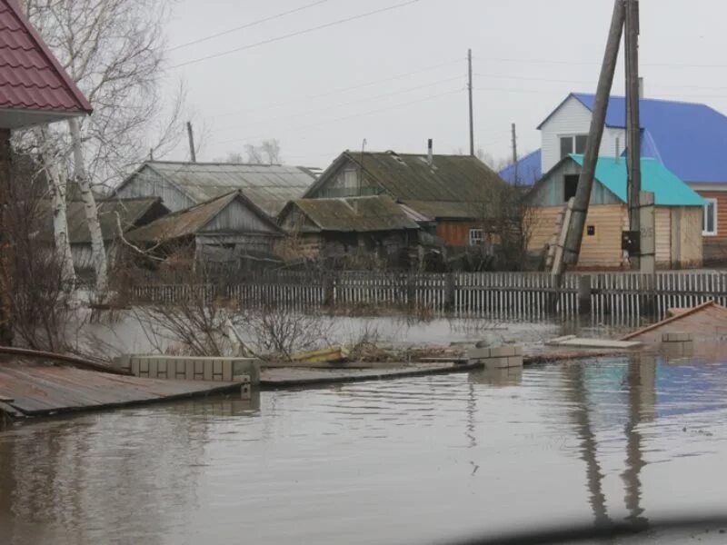 Маралиха Алтайский. Маралиха Краснощековского района Алтайского края. Усть Козлуха Алтайский край. Река Маралиха Алтайский край.