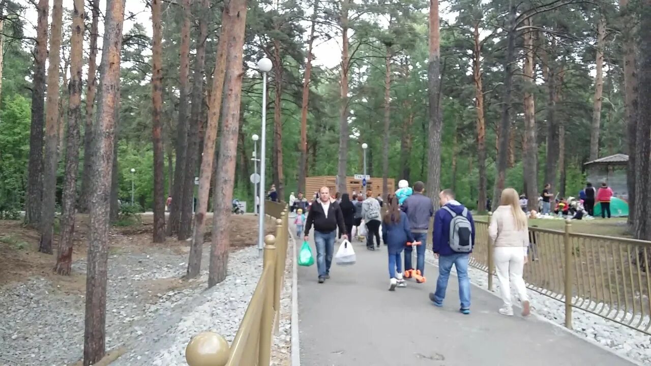 Гилевская роща песни. Лесопарк «гилевская роща». Гилевская роща песни. Гилевская роща песни. Тюмень ватутинская роща фото.