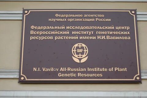 Федеральный исследовательский центр всероссийский институт генетических