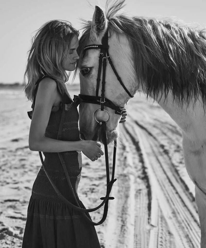 Джордан карвер доярка. Лошади хотят девушки. Лошади хотят девушки. Джордан карвер и жеребец. Человек на лошади.