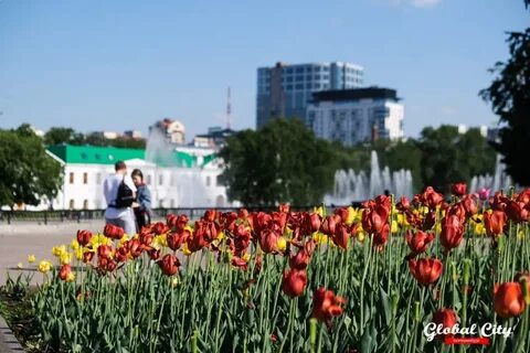 Когда будет в екатеринбурге лето