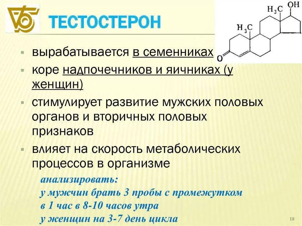 Какие гормоны вырабатываются у мужчин. Где вырабатывается тестостерон. Где вырабатывается тестостерон у мужчин. Мужской гормон тестостерон. Процесс выработки тестостерона.