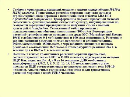 При расшифровке генома моркови