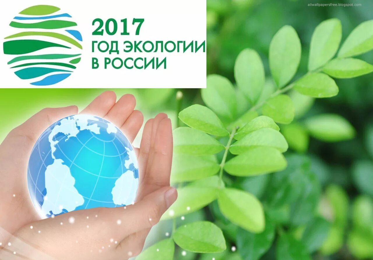 название экологического проекта. 2017 год экологии. 100 лет экологии. эколого-просветительский центр «заповедники». год экологии эмблема.