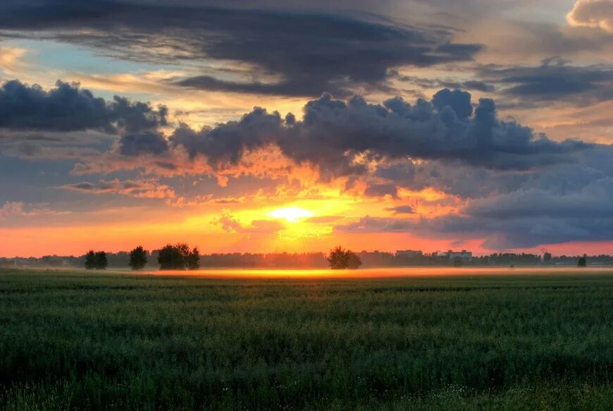 Плывут облака с золотыми краями. Красивое поле. Небо вечер лето. Русское поле закат.