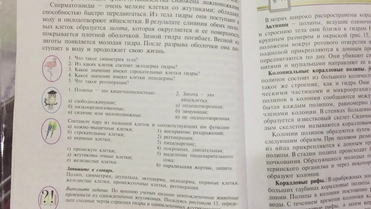 Слушать параграфы учебников 8 класса. Биология 6 параграф. Биология 6 класс параграф 34. Биология 6 класс учебник параграф 7. Биология 6 класс параграф 34 конспект.