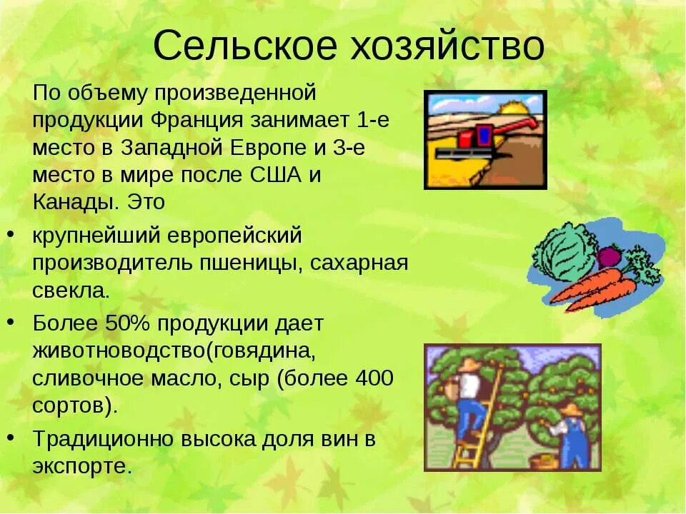 Продукция сельского хозяйства франции. Сельское хозяйство франции презентация. сельское хозяйство франции кратко. специализация сельского хозяйства франции. характеристика сельского хозяйства франции.