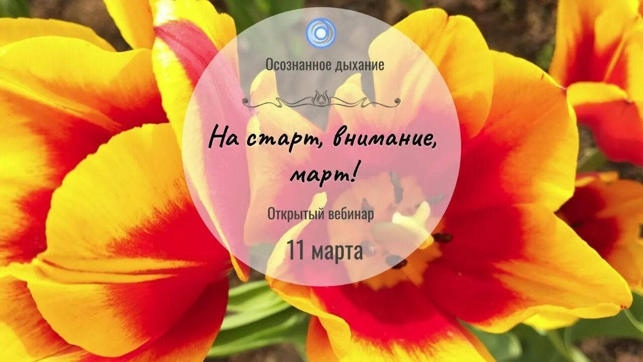 На страт внимание март. Открытка на старт внимание март. На старт внимание март картинки прикольные. С первым днем весны на старт внимание март. На старт внимание март картинки