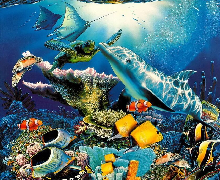 обитатели моря для детей. урок подводный мир. урок подводный мир. урок подводный мир. морские обитатели для детей.