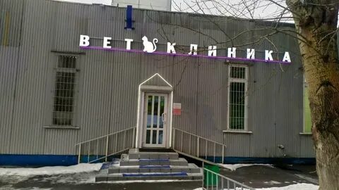 Дженк ветклиника