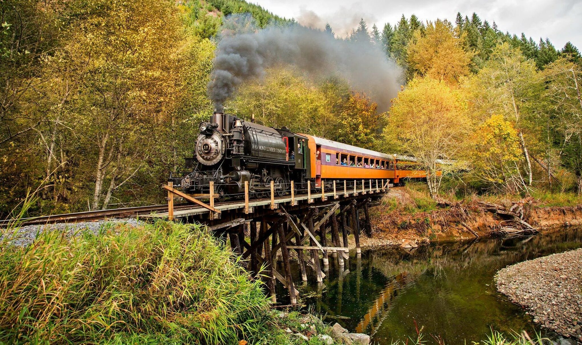 Поезд в лесу. Поезд. Поезд лес осень. Поезд картинка.