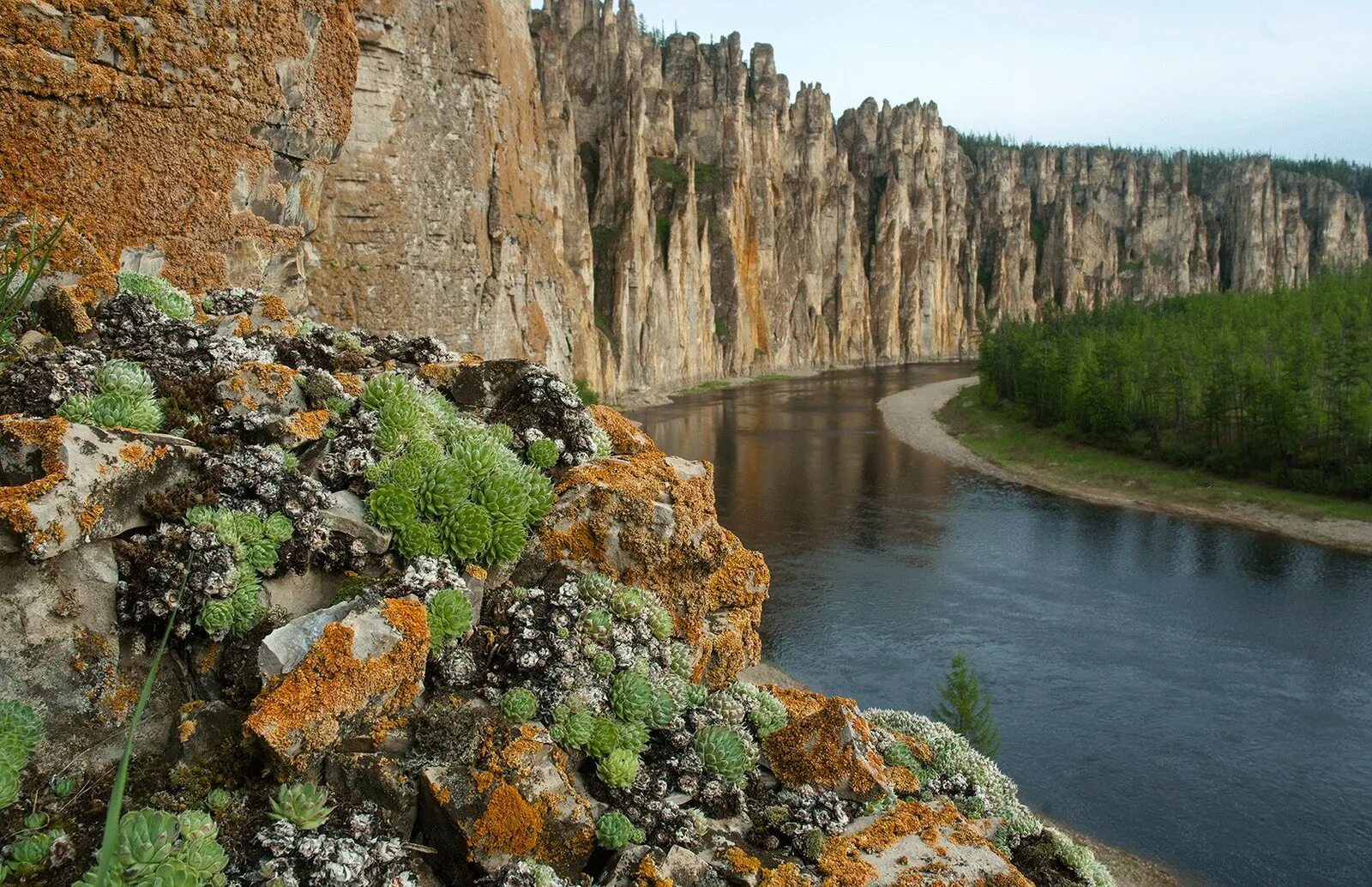 Фото республики саха якутия. Саха Якутия. Саха Якутия природа. Республика Саха Якутия лето. Республика саза Якутии.