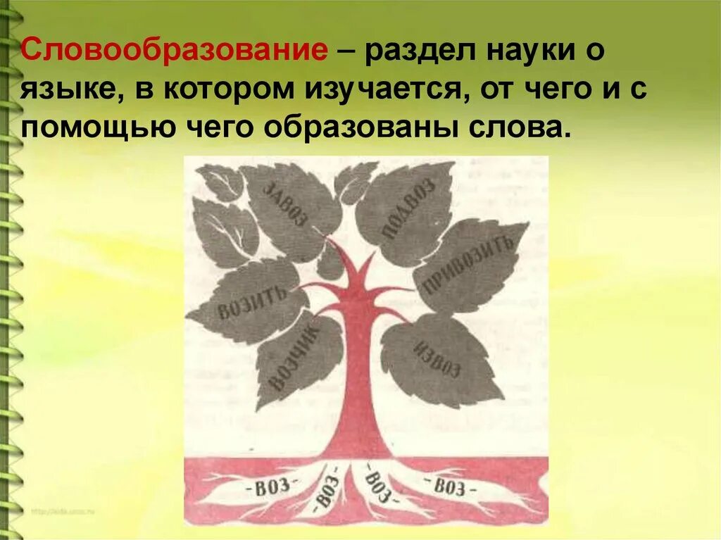 Словообразование. Словообразование раздел науки о. Рисунок на тему словообразование. Дерево словообразования.