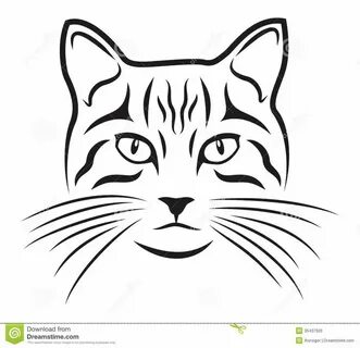 Мордочка кота картинка