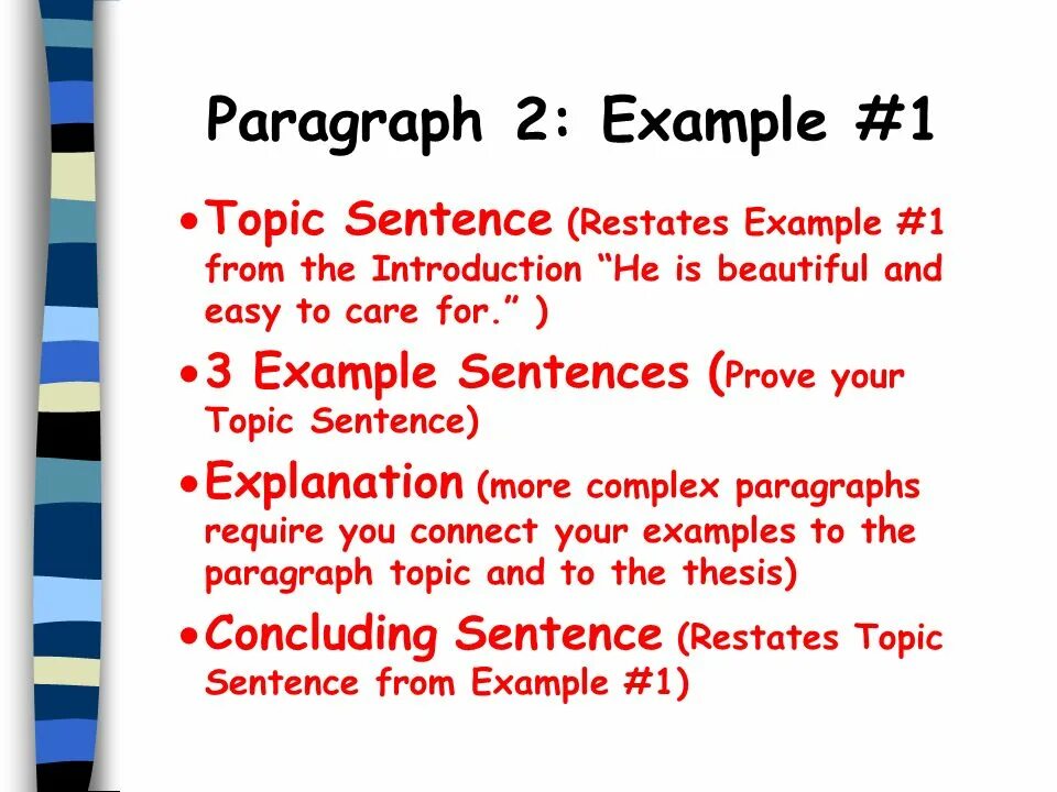 Model topic. A paragraph and a topic sentence. What is topic sentence. Paragraph examples. Topic sentence examples.