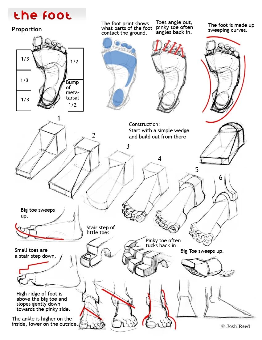 Стопы туториал. Feet reference. Спастичность ступня рисунок. Feet proportions. Back angle