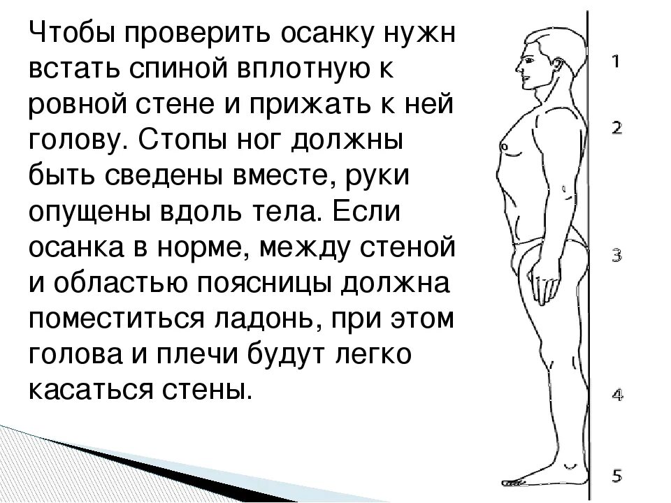 Правильность осанки. Как проверить правильность осанки. Упражнения для проверки осанки. Тест на правильность осанки.