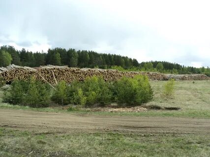 Сычево курганская область