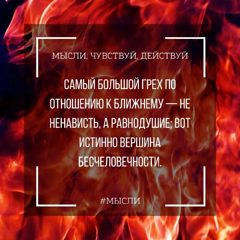 рог шайтана из неджда. 10 заповедей лихачёва. не убий не укради 10 заповедей. хадис про смуту. десять заповедей человечности д.