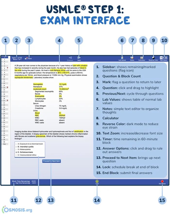 Usmle step 1. USMLE Step 1 баллы. USMLE Step 1 максимальный балл. USMLE тест.