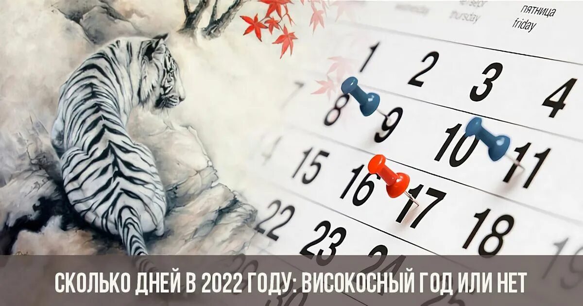 Високосный год день рождения. 2022 Високосный. Високосный год 2022. Високосные года с 2022 года. Год в 2022 году февраля.