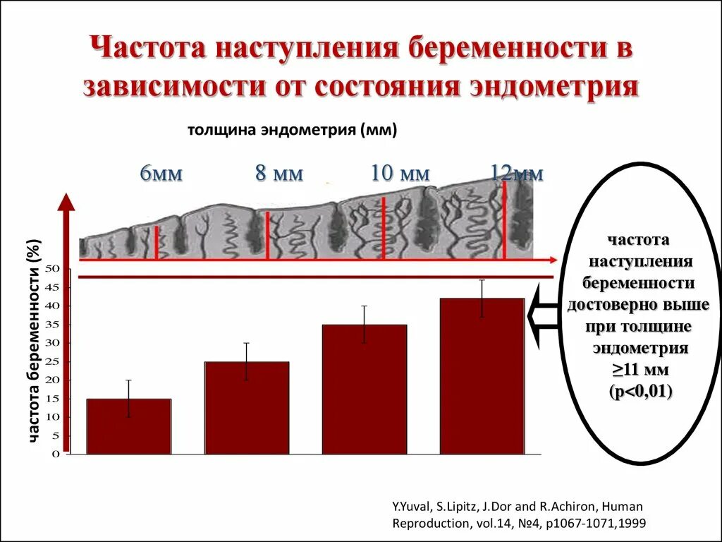 Какой эндометрий нужен