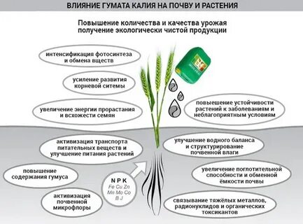 Калий влияние