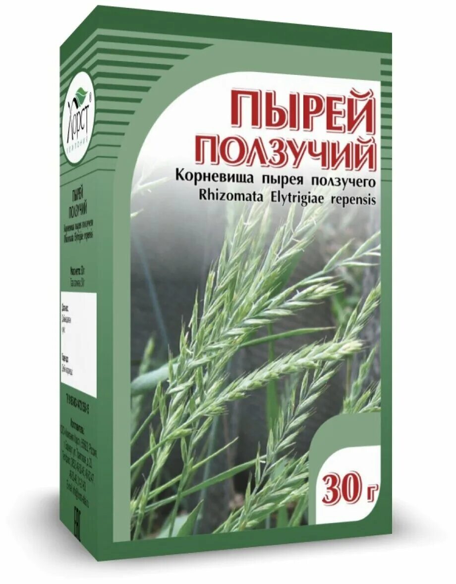 Корневище пырея. Пырей ползучий побег. Пырей ползучий побег. Пырей трава сорняк. Пырей сорняк.