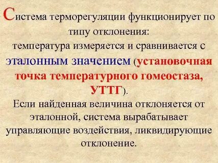 Сформулируйте определение точки