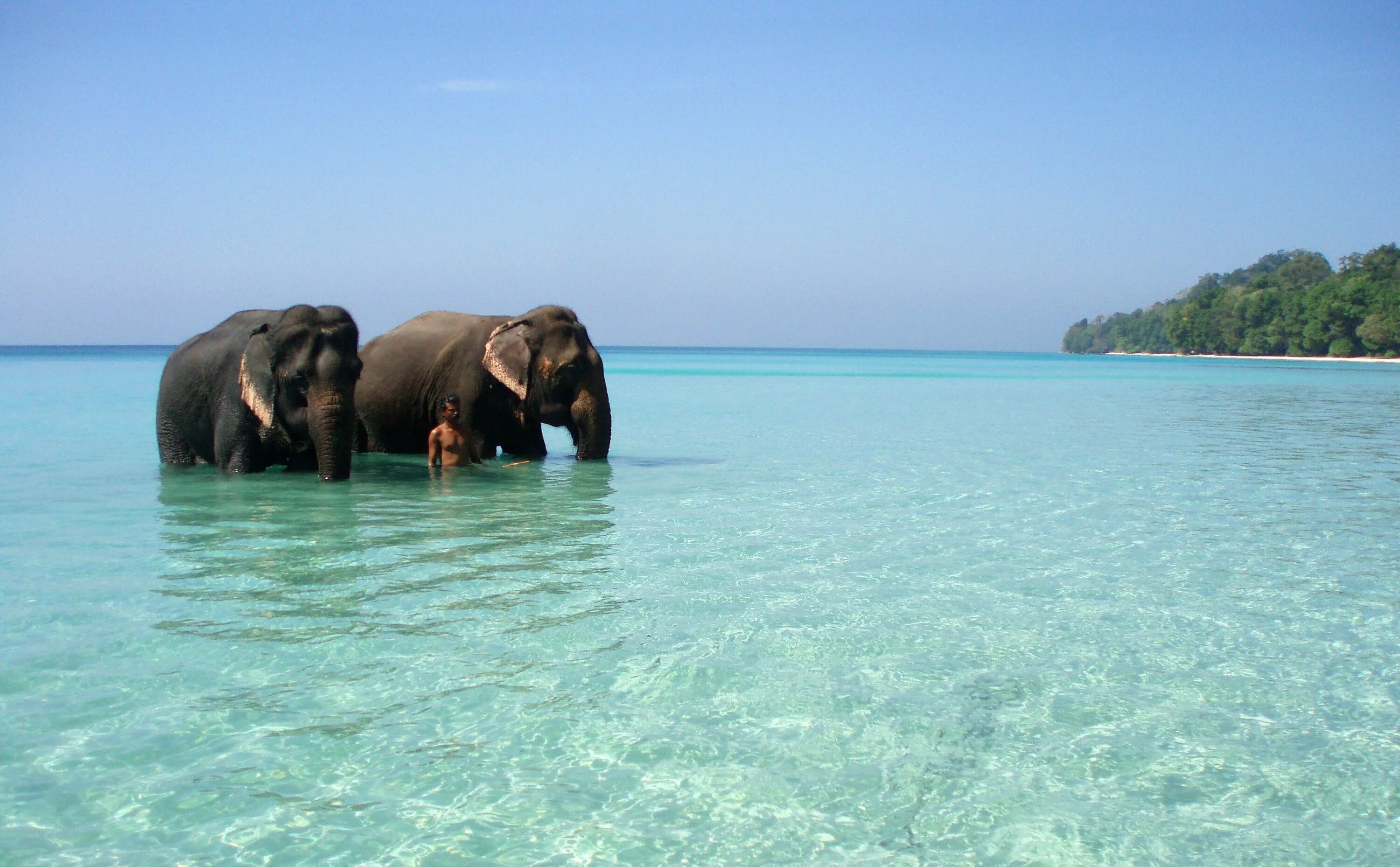 Какой океан находится в шри ланке. Андаманские острова Хэвлок. Андаманские острова слон. Андаманские острова Индия. Тангалле Шри Ланка.