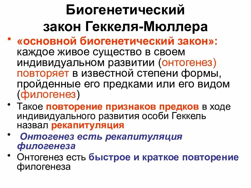 Тема биологические законы. Основной биогенетический закон Геккеля-Мюллера. Теория развития Геккеля. Основной филогенетический закон Геккеля. Основной биогенетический закон Геккеля.